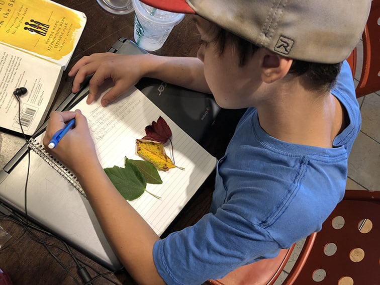 Teaching Resources For Teaching Gifted And Talented Students