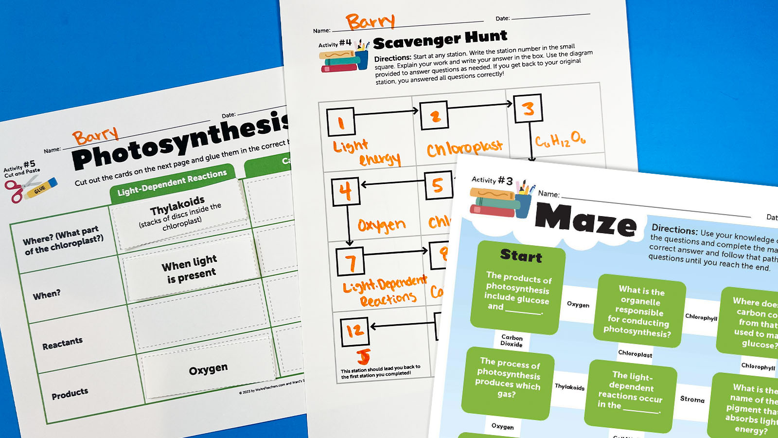 Photosynthesis Worksheets for Middle + High School. Free to Print!